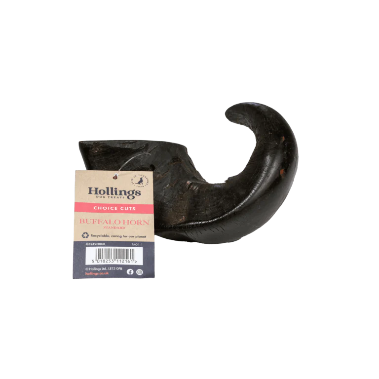 Hollings Buffalo Horn Dog Chew, natural durable treat for dogs.