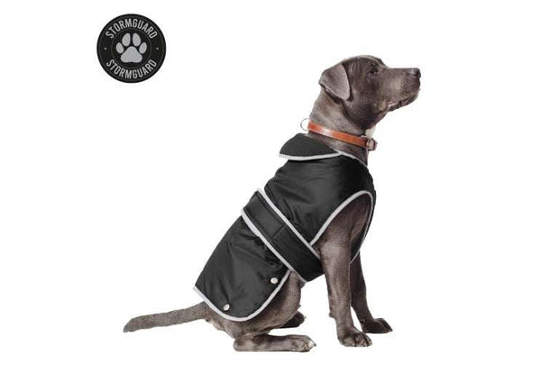 Ancol Stormguard Black Waterproof Dog Coat on a dog, featuring reflective edging, chest protector, and elasticated neck and leg straps.