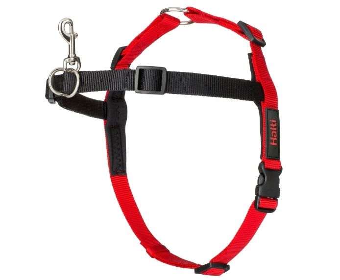 HALTI Front Control Dog Harness in red and black for gentle pulling correction.