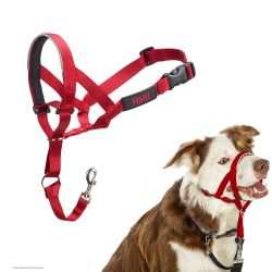 Company of Animals - Halti Headcollar