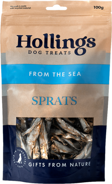 Hollings Sprats – A Wholesome, Natural Treat for Dogs