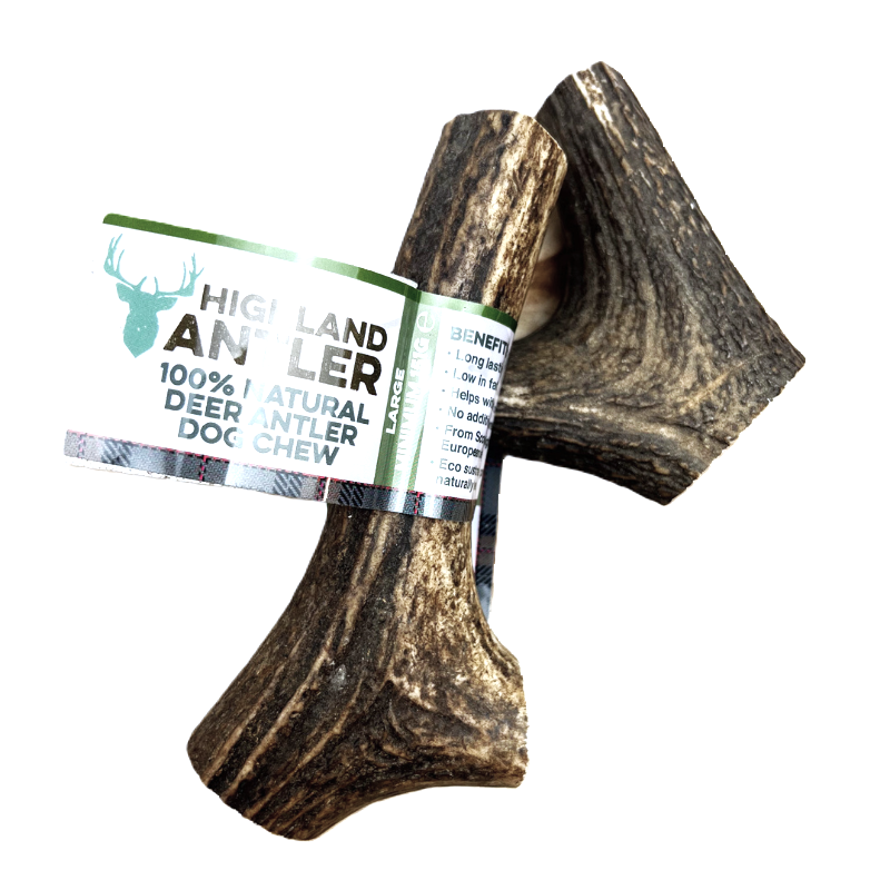 NOVA Dog Chew Highland Antler - natural deer antler chew promoting dental health and rich in nutrients.