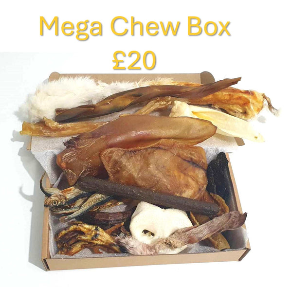 The Mega Chew Box