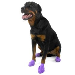 Pawz dog boots