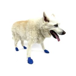 Pawz dog boots