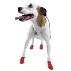 Pawz dog boots