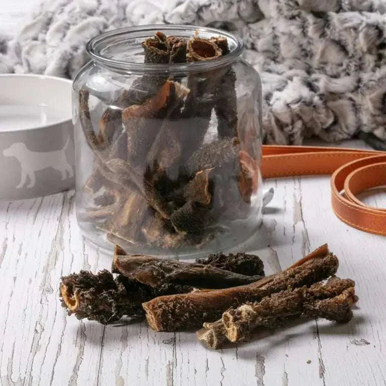 Hollings Tripe Sticks for dogs in a jar on a white wooden table with a dog bowl and leash.