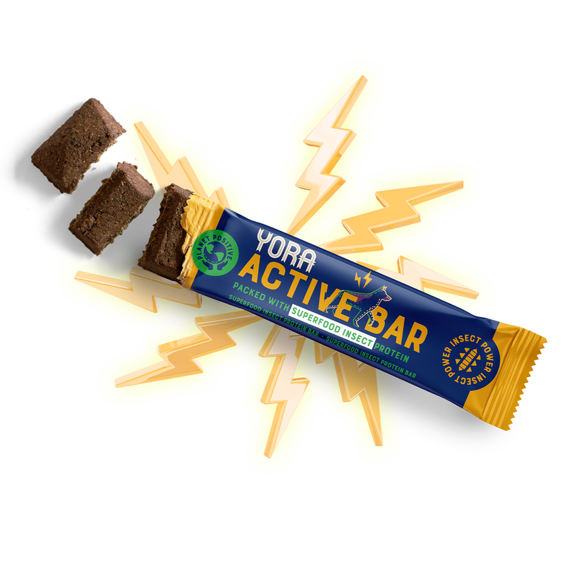 Yora Active Dog Treat Bar with Superfood Insect Protein