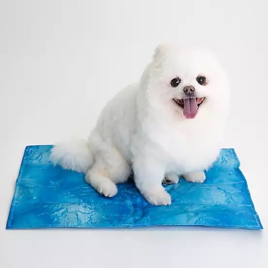 Coco Jojo Pet Cooling Mat with a fluffy white dog sitting on it.