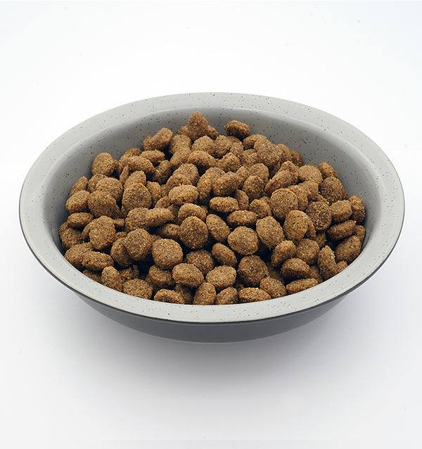 Alpha Sensitive Dry Dog Food