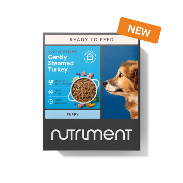 Nutriment New Gently Steamed Turkey Puppy 395g