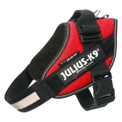 JULIUS-K9 original dog harness with adjustable strap and reflective chest stripe.