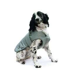 Reflective dog coat with water-resistant surface and fleece lining on black and white dog.