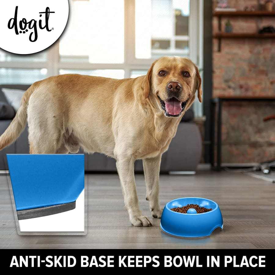 Go Slow Anti Gulping Dog Bowl