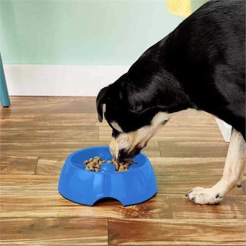 Go Slow Anti Gulping Dog Bowl